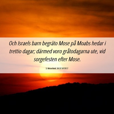 Picture 06 - 5 Mosebok 34:8 SV1917 - Och Israels barn begräto Mose på Moabs hedar i - Bible Verse Picture