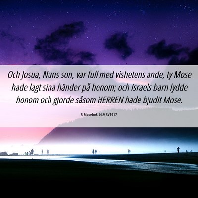 Picture 06 - 5 Mosebok 34:9 SV1917 - Och Josua, Nuns son, var full med vishetens ande, - Bible Verse Picture