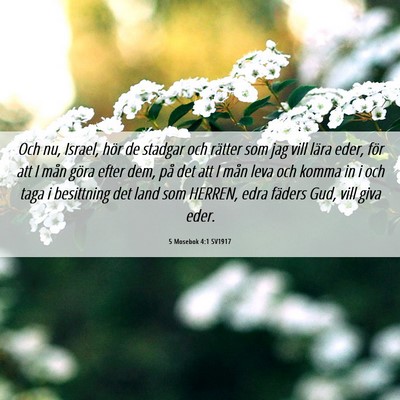 Picture 06 - 5 Mosebok 4:1 SV1917 - Och nu, Israel, hör de stadgar och rätter som - Bible Verse Picture