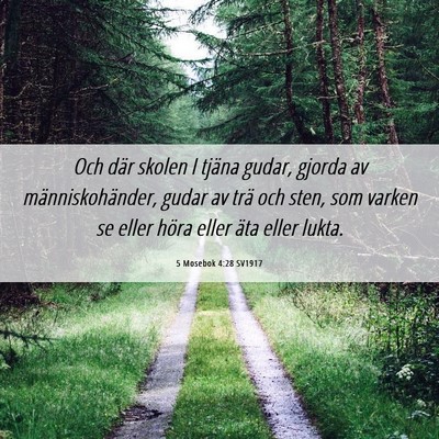 Picture 06 - 5 Mosebok 4:28 SV1917 - Och där skolen I tjäna gudar, gjorda av - Bible Verse Picture