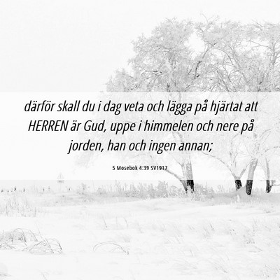 Picture 06 - 5 Mosebok 4:39 SV1917 - därför skall du i dag veta och lägga på - Bible Verse Picture