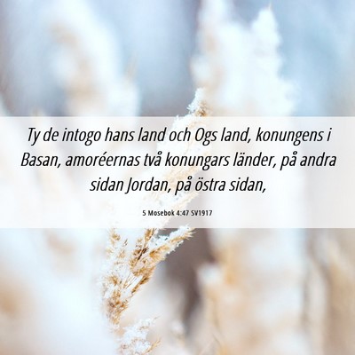 Picture 06 - 5 Mosebok 4:47 SV1917 - Ty de intogo hans land och Ogs land, konungens i - Bible Verse Picture