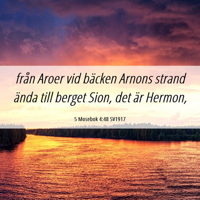 Picture 06 - 5 Mosebok 4:48 SV1917 - från Aroer vid bäcken Arnons strand ända till - Bible Verse Picture