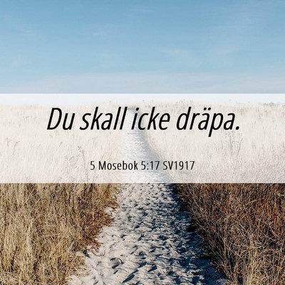 Picture 06 - 5 Mosebok 5:17 SV1917 - Du skall icke - Bible Verse Picture