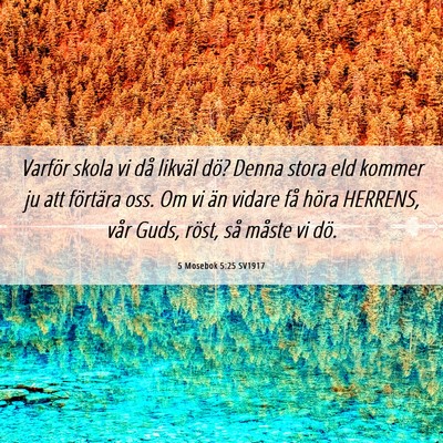 Picture 06 - 5 Mosebok 5:25 SV1917 - Varför skola vi då likväl dö? Denna stora eld - Bible Verse Picture