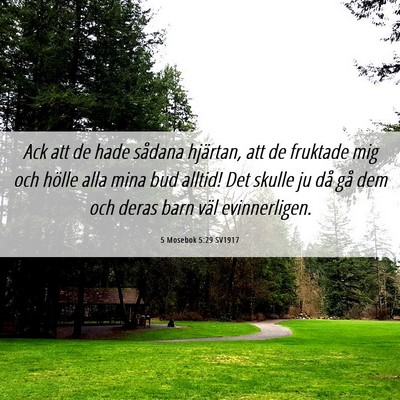 Picture 06 - 5 Mosebok 5:29 SV1917 - Ack att de hade sådana hjärtan, att de fruktade - Bible Verse Picture