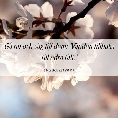 Picture 06 - 5 Mosebok 5:30 SV1917 - Gå nu och säg till dem: 'Vänden tillbaka till - Bible Verse Picture