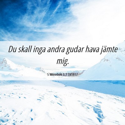 Picture 06 - 5 Mosebok 5:7 SV1917 - Du skall inga andra gudar hava jämte - Bible Verse Picture