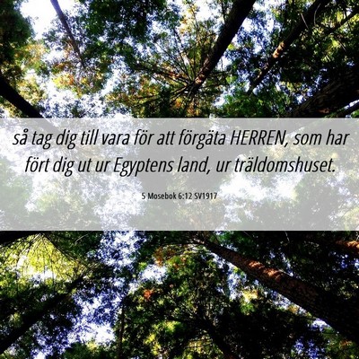 Picture 06 - 5 Mosebok 6:12 SV1917 - så tag dig till vara för att förgäta HERREN, - Bible Verse Picture
