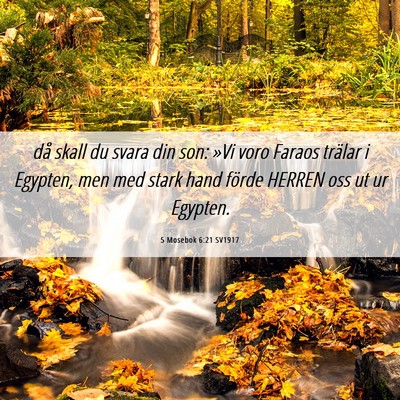 Picture 06 - 5 Mosebok 6:21 SV1917 - då skall du svara din son: »Vi voro Faraos - Bible Verse Picture