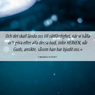 Picture 06 - 5 Mosebok 6:25 SV1917 - Och det skall lända oss till rättfärdighet, - Bible Verse Picture