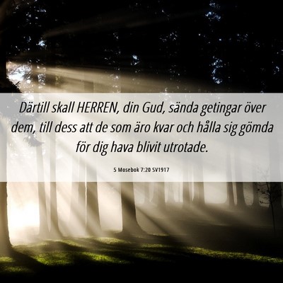 Picture 06 - 5 Mosebok 7:20 SV1917 - Därtill skall HERREN, din Gud, sända getingar - Bible Verse Picture