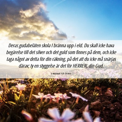 Picture 06 - 5 Mosebok 7:25 SV1917 - Deras gudabeläten skola I bränna upp i eld. Du - Bible Verse Picture