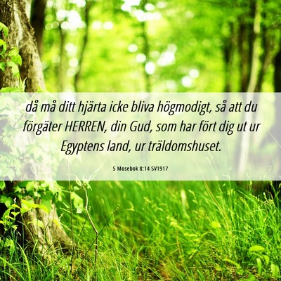 Picture 06 - 5 Mosebok 8:14 SV1917 - då må ditt hjärta icke bliva högmodigt, så - Bible Verse Picture