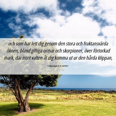 Picture 06 - 5 Mosebok 8:15 SV1917 - och som har lett dig genom den stora och - Bible Verse Picture