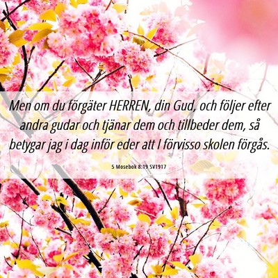 Picture 06 - 5 Mosebok 8:19 SV1917 - Men om du förgäter HERREN, din Gud, och följer - Bible Verse Picture