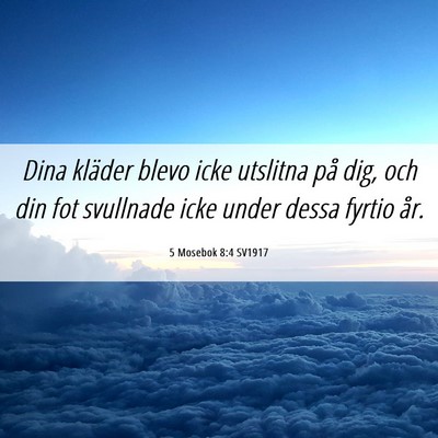 Picture 06 - 5 Mosebok 8:4 SV1917 - Dina kläder blevo icke utslitna på dig, och din - Bible Verse Picture