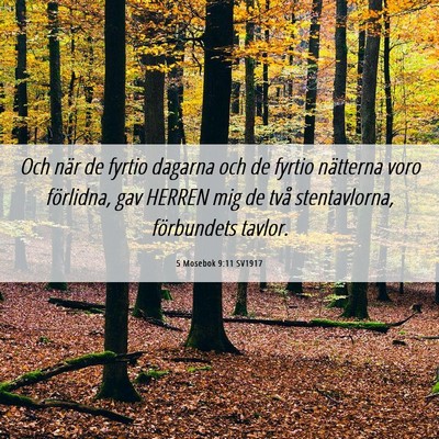Picture 06 - 5 Mosebok 9:11 SV1917 - Och när de fyrtio dagarna och de fyrtio - Bible Verse Picture