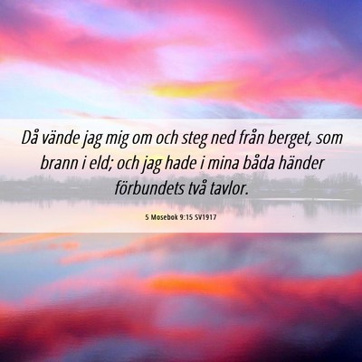Picture 06 - 5 Mosebok 9:15 SV1917 - Då vände jag mig om och steg ned från berget, - Bible Verse Picture