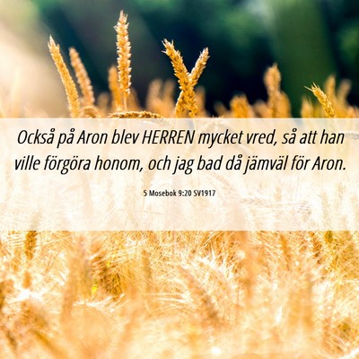 Picture 06 - 5 Mosebok 9:20 SV1917 - Också på Aron blev HERREN mycket vred, så att - Bible Verse Picture