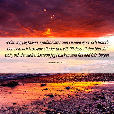 Picture 06 - 5 Mosebok 9:21 SV1917 - Sedan tog jag kalven, syndabelätet som I haden - Bible Verse Picture