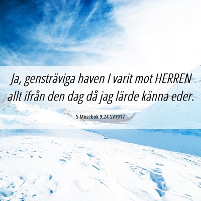 Picture 06 - 5 Mosebok 9:24 SV1917 - Ja, gensträviga haven I varit mot HERREN allt - Bible Verse Picture