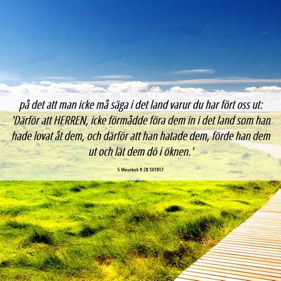 Picture 06 - 5 Mosebok 9:28 SV1917 - på det att man icke må säga i det land varur - Bible Verse Picture
