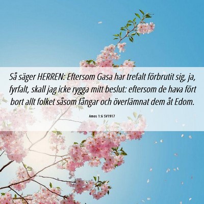Picture 06 - Amos 1:6 SV1917 - Så säger HERREN: Eftersom Gasa har trefalt - Bible Verse Picture
