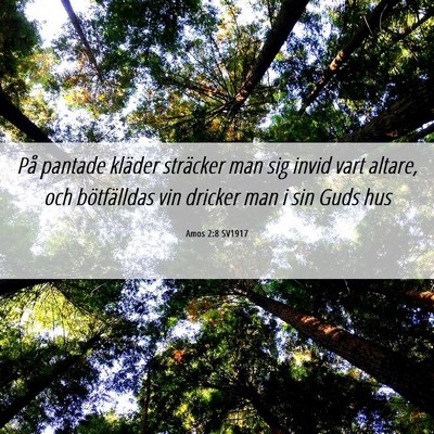 Picture 06 - Amos 2:8 SV1917 - På pantade kläder sträcker man sig invid vart - Bible Verse Picture