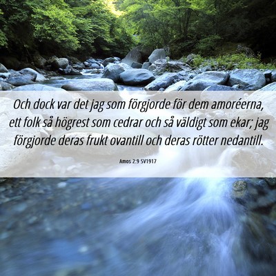 Picture 06 - Amos 2:9 SV1917 - Och dock var det jag som förgjorde för dem - Bible Verse Picture