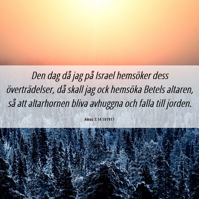 Picture 06 - Amos 3:14 SV1917 - Den dag då jag på Israel hemsöker dess - Bible Verse Picture