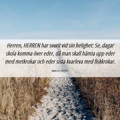 Picture 06 - Amos 4:2 SV1917 - Herren, HERREN har svurit vid sin helighet: Se, - Bible Verse Picture