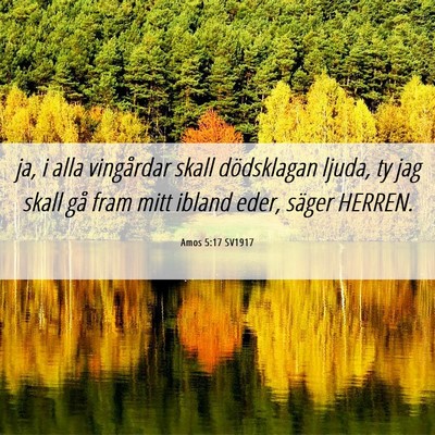 Picture 06 - Amos 5:17 SV1917 - ja, i alla vingårdar skall dödsklagan ljuda, ty - Bible Verse Picture