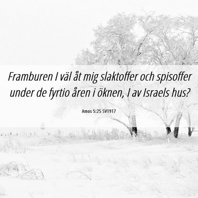 Picture 06 - Amos 5:25 SV1917 - Framburen I väl åt mig slaktoffer och spisoffer - Bible Verse Picture