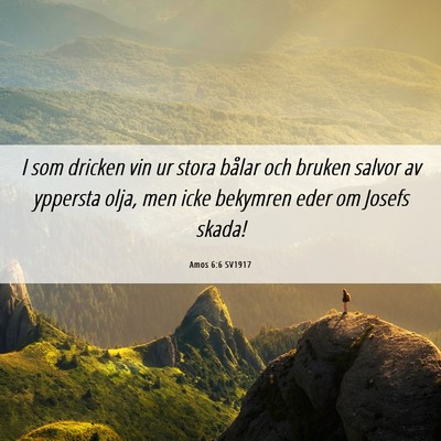 Picture 06 - Amos 6:6 SV1917 - I som dricken vin ur stora bålar och bruken - Bible Verse Picture