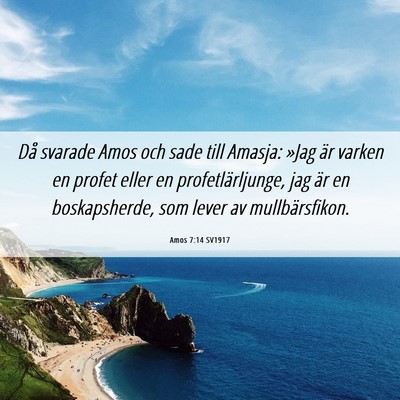 Picture 06 - Amos 7:14 SV1917 - Då svarade Amos och sade till Amasja: »Jag är - Bible Verse Picture