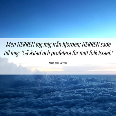 Picture 06 - Amos 7:15 SV1917 - Men HERREN tog mig från hjorden; HERREN sade - Bible Verse Picture