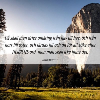 Picture 06 - Amos 8:12 SV1917 - Då skall man driva omkring från hav till hav, - Bible Verse Picture