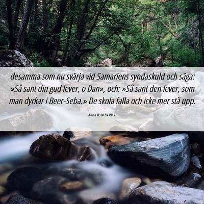 Picture 06 - Amos 8:14 SV1917 - desamma som nu svärja vid Samariens syndaskuld - Bible Verse Picture