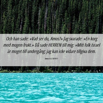 Picture 06 - Amos 8:2 SV1917 - Och han sade: »Vad ser du, Amos?» Jag svarade: - Bible Verse Picture