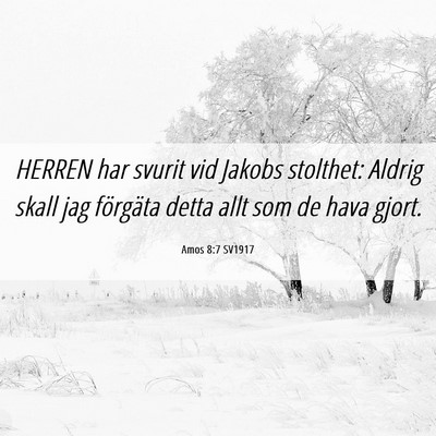 Picture 06 - Amos 8:7 SV1917 - HERREN har svurit vid Jakobs stolthet: Aldrig - Bible Verse Picture