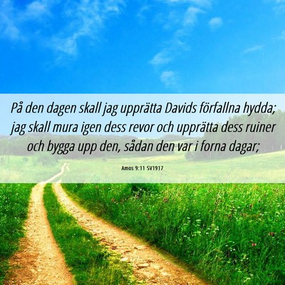 Picture 06 - Amos 9:11 SV1917 - På den dagen skall jag upprätta Davids - Bible Verse Picture