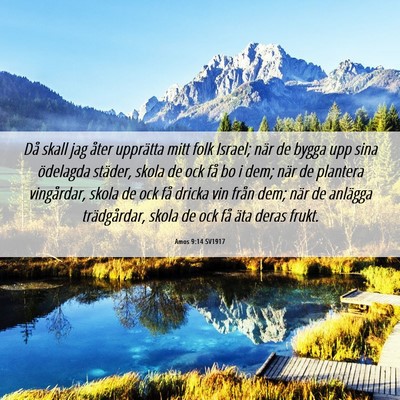 Picture 06 - Amos 9:14 SV1917 - Då skall jag åter upprätta mitt folk Israel; - Bible Verse Picture