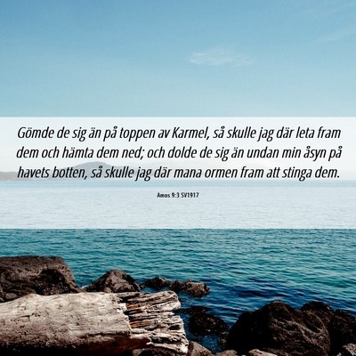 Picture 06 - Amos 9:3 SV1917 - Gömde de sig än på toppen av Karmel, så - Bible Verse Picture