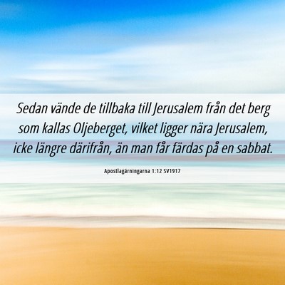 Picture 06 - Apostlagärningarna 1:12 SV1917 - Sedan vände de tillbaka till Jerusalem från det - Bible Verse Picture
