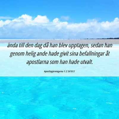 Picture 06 - Apostlagärningarna 1:2 SV1917 - ända till den dag då han blev upptagen, sedan - Bible Verse Picture
