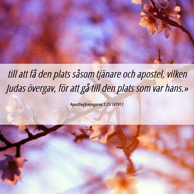 Picture 06 - Apostlagärningarna 1:25 SV1917 - till att få den plats såsom tjänare och - Bible Verse Picture