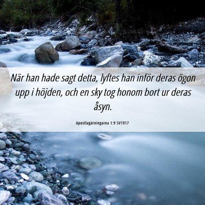 Picture 06 - Apostlagärningarna 1:9 SV1917 - När han hade sagt detta, lyftes han inför deras - Bible Verse Picture