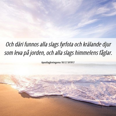 Picture 06 - Apostlagärningarna 10:12 SV1917 - Och däri funnos alla slags fyrfota och krälande - Bible Verse Picture