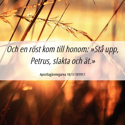 Picture 06 - Apostlagärningarna 10:13 SV1917 - Och en röst kom till honom: »Stå upp, Petrus, - Bible Verse Picture